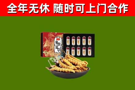 南岗区回收冬虫夏草价格