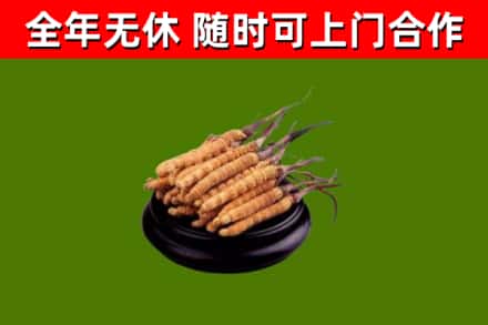 南岗区烟酒回收冬虫夏草.jpg